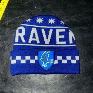 Warner Bros Blue and White Raven Knit Hat